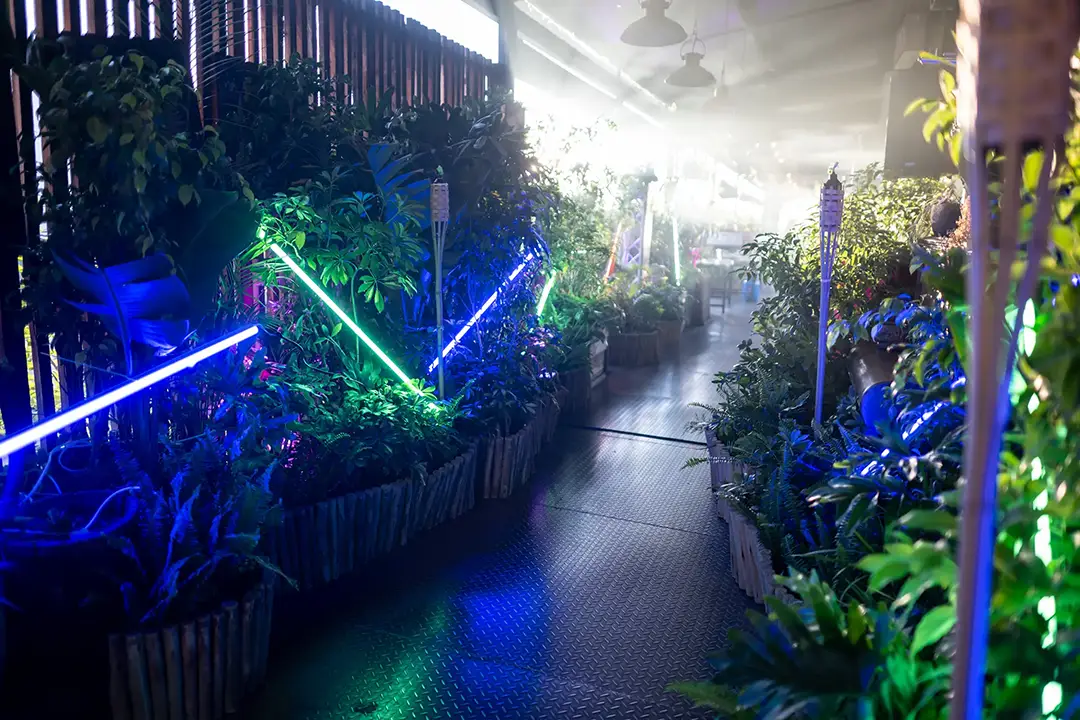 Indoor garden walkway with plants, colorful neon lights, and tiki torches in a softly lit space.